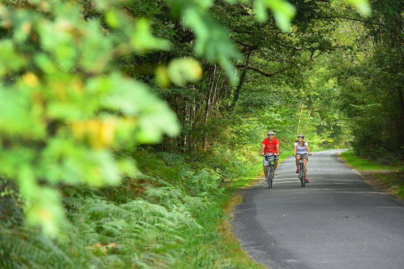 Randonnée : Boucle 08 - Aux portes de la plus grande forêt domaniale de France