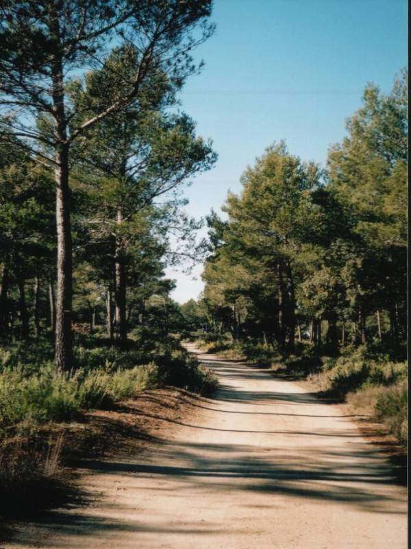 Randonnée : Jonction Vallon du Pin - Pélissanne
