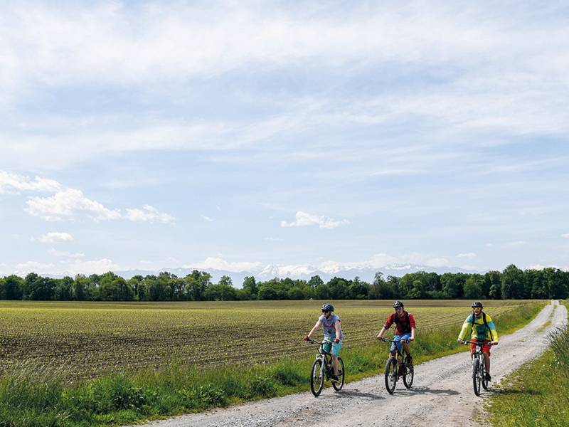 Randonnée : Lespourcy : aux portes du Vic-Bilh à VTT