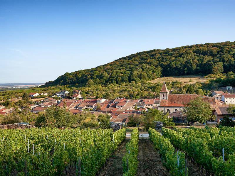 Randonnée : Route touristique des côtes de Toul