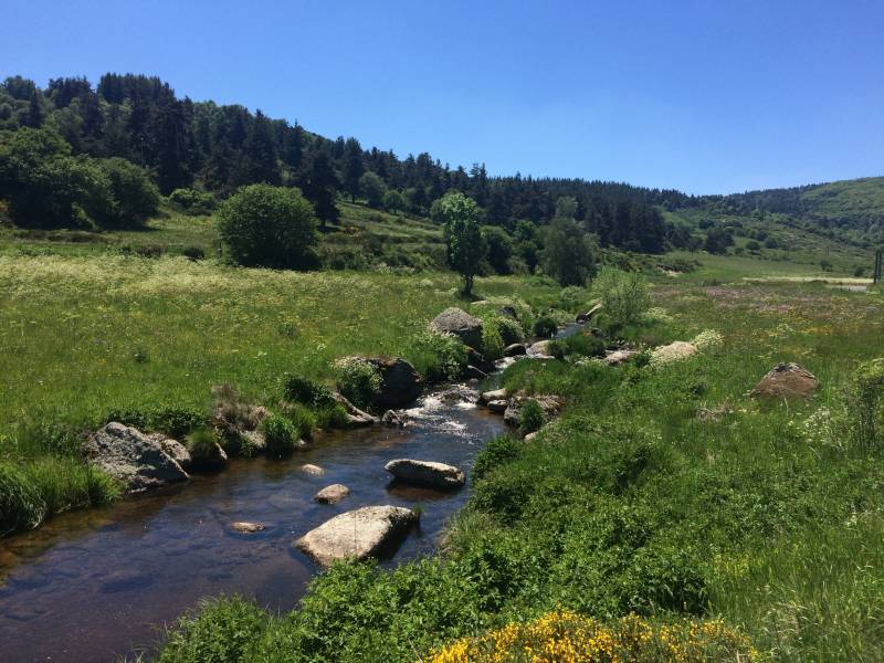 Randonnée : UN MORCEAU DE TRUYERE