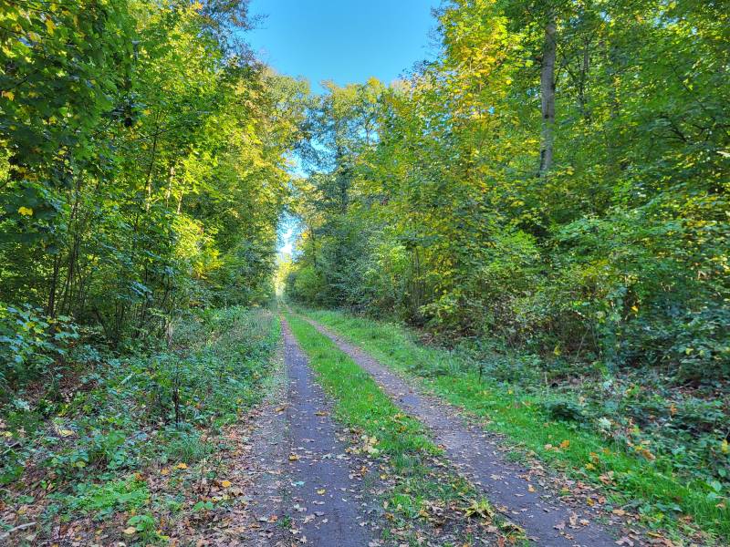 Randonnée : Du Mont César à l'Abbaye de Froidmont (VTT)
