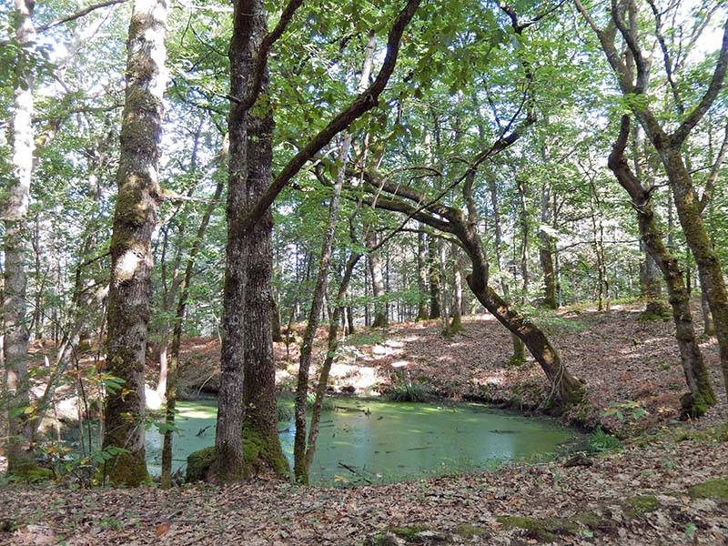 Randonnée : Boucle des Eaux - Lanquais