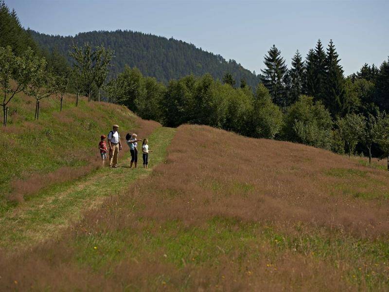Randonnée : Circuit poussettes 4x4 H04 : De Saales au Voyemont par le col de l'Abatteux