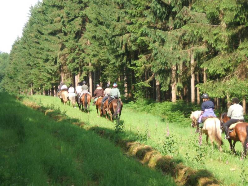 Randonnée : Les industries du Givonnais à cheval
