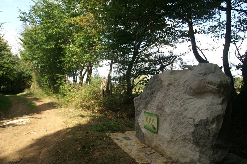 Randonnée : Sur les traces du Loup