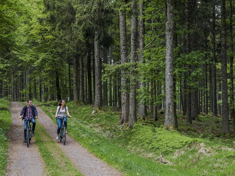 Randonnée : Circuit vélo B07 : Autour de Niederhaslach depuis Schirmeck