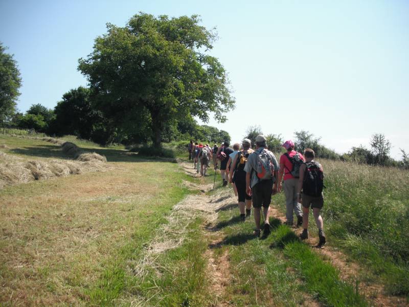 Randonnée : La Balade Marnaysienne