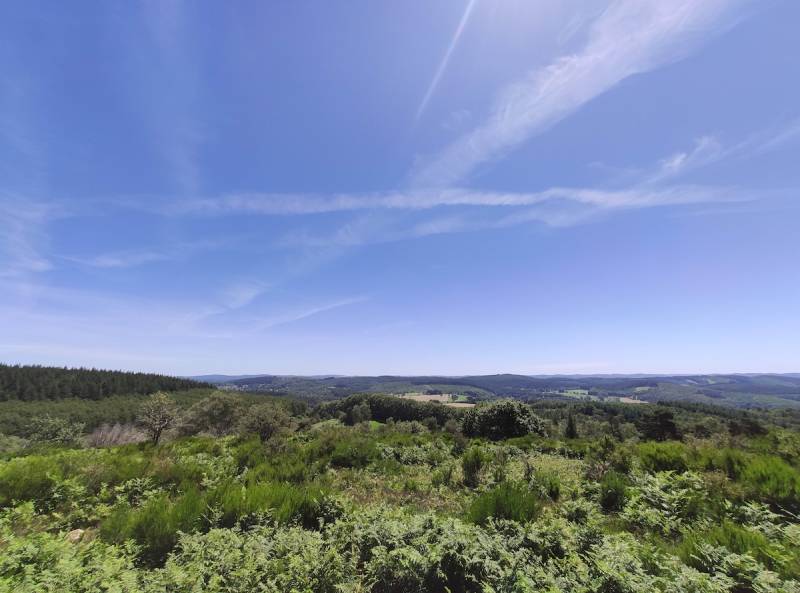 Randonnée : GRP® Monts et Barrages en Limousin - Etape 4 - Du lac de Vassivière (Auphelle) à Nedde