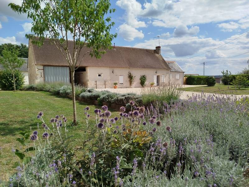 Randonnée : La Brenne à cheval : circuits en marguerite au départ du Clos de la Fosse aux loups