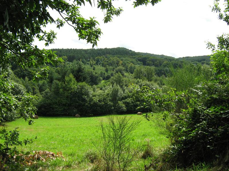 Randonnée : Circuit de randonnée pédestre N°29