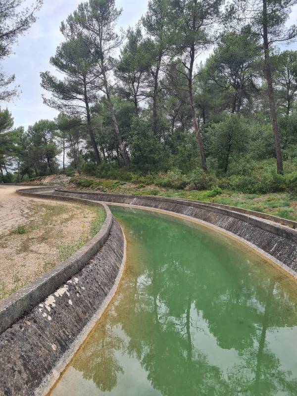Randonnée : Sentier du Bois du Verdillon