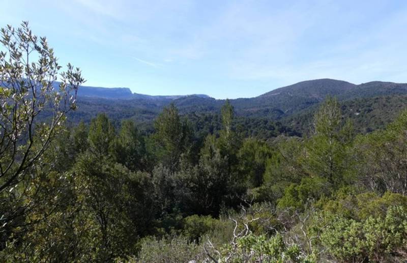 Randonnée : SAINT-ZACHARIE - La forêt du Défens par le pas de Peyruis