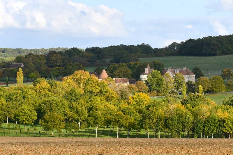 Randonnée : Entre Champs et Forêt - Circuit n°63