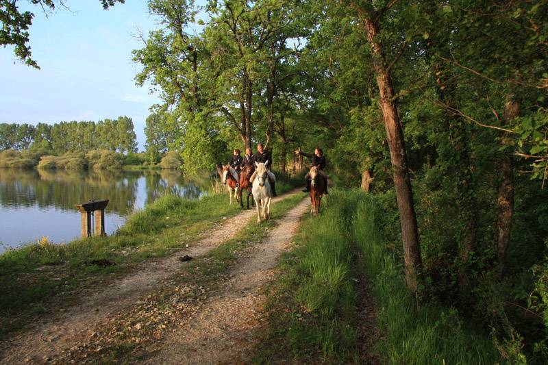 Randonnée : La Brenne à cheval : Grand tour des étangs de la Brenne en 3 jours