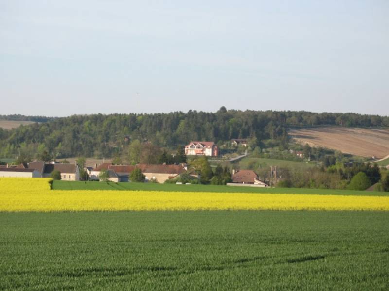 Randonnée : Circuit
