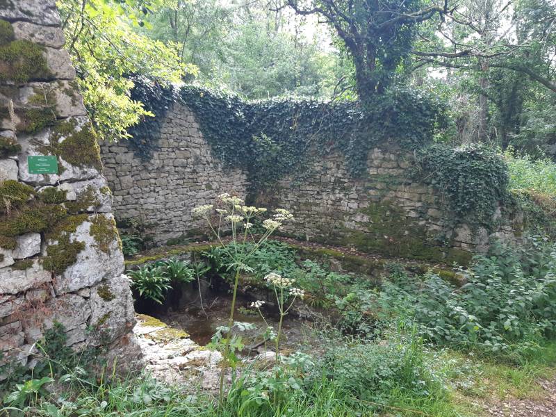 Randonnée : Le Salpot - Fressines