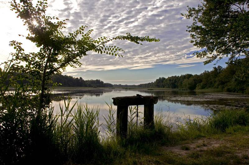 Randonnée : Balade à pied n°61 - Le ruisseau de l'Ozance