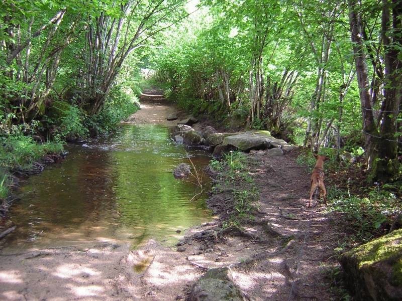 Randonnée : La Balade de Nestor à Lormes