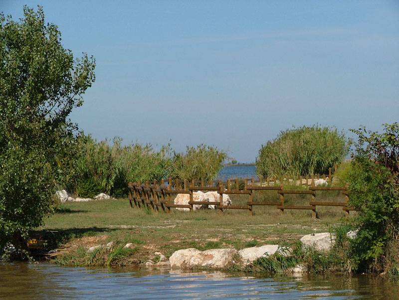 Randonnée : Sentier et observatoires ornithologiques de l'Etang de Bolmon