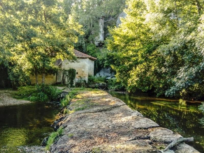 Illustration : Boucle de Grand-Brassac - Bois de Sinzelles