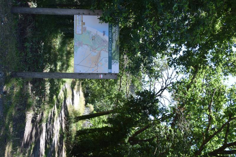 Randonnée : La Soulacaise Sud