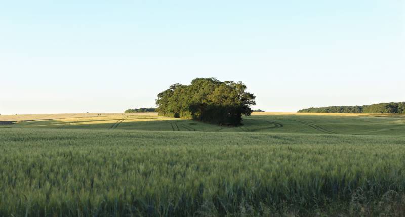 Randonnée : Retour sur la terre - n°25
