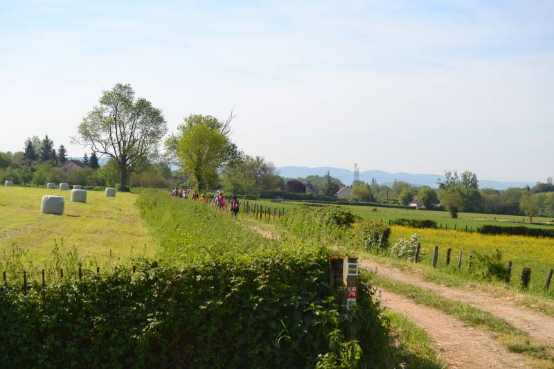 Randonnée : Chemins de la Jouvencelle