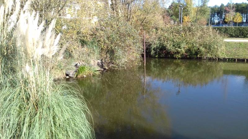Randonnée : Balade à roulettes : Bruges, étang et bassins - Impraticable
