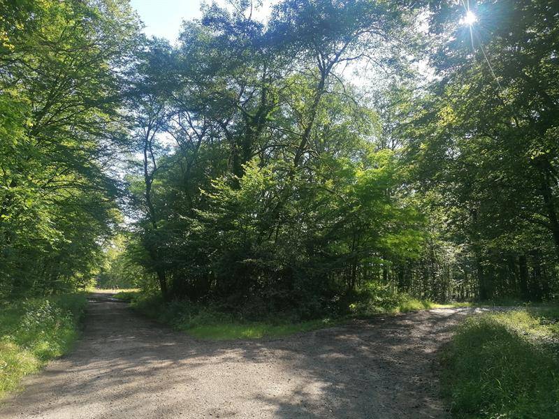 Randonnée : Sentier de Soetrich