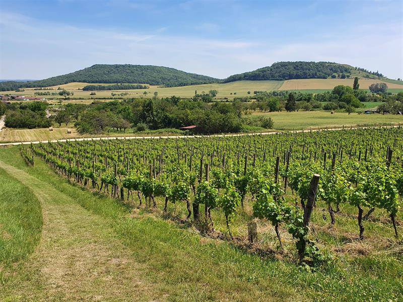 Randonnée : Circuit du Val des Nonnes