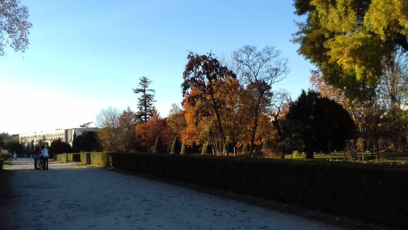 Randonnée : Balade à roulettes : Parc de Peixotto - Impraticable