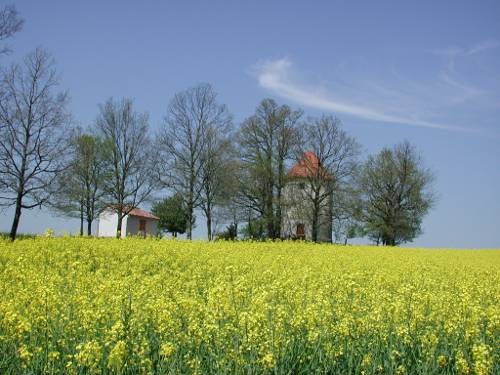 Randonnée : Saint-Caprais-de-Lerm, dans les coteaux de l'Agenais