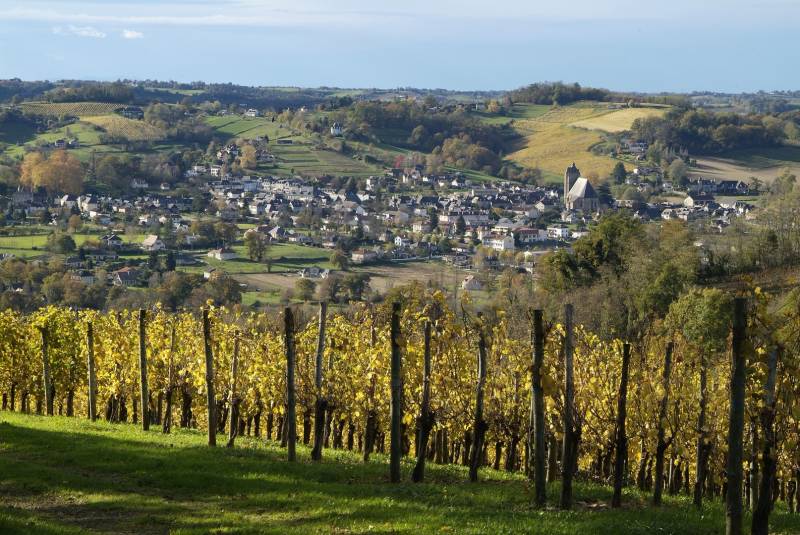 Randonnée : Vignobles de Cuqueron