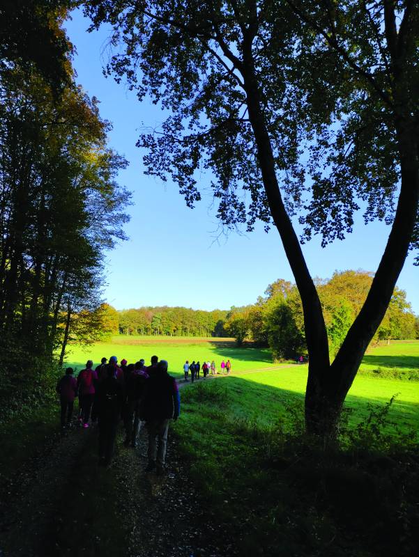 Illustration : Trail des dolines - Version 9 km