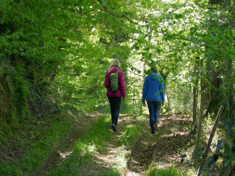 Randonnée : Claracq : promenade du Beüs au château