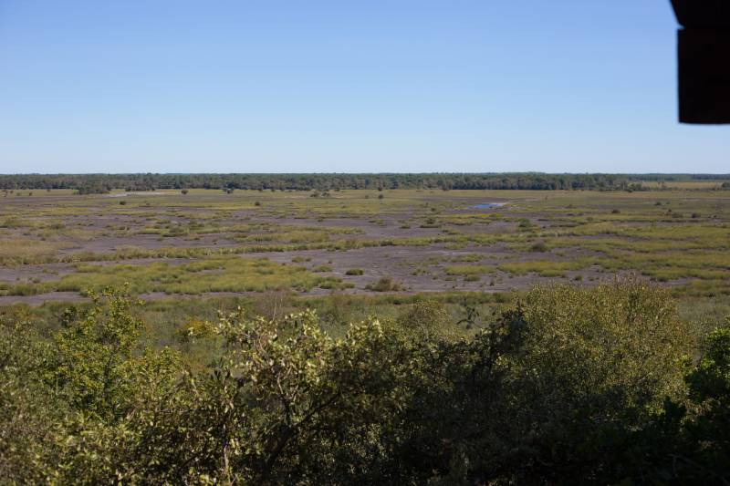 Randonnée : Le sentier de la Réserve Naturelle de l’étang de Cousseau