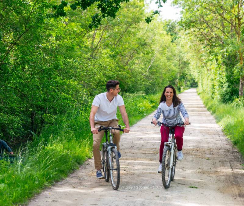 Randonnée : Circuit cyclable 1 - Arçais/Le Vanneau-Irleau/St-Georges-de-Rex