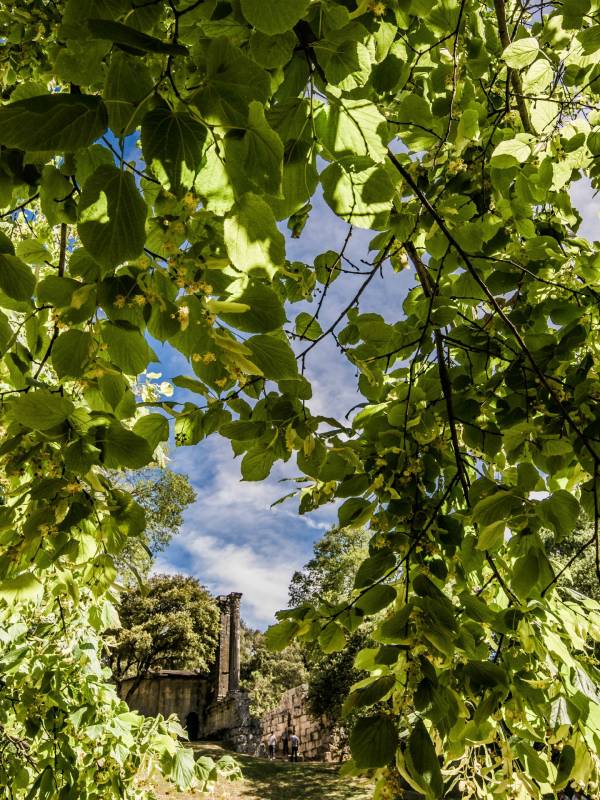 Randonnée : Aux environs de Château Bas