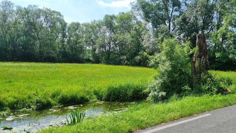 Randonnée : Boucle de la Bugonne