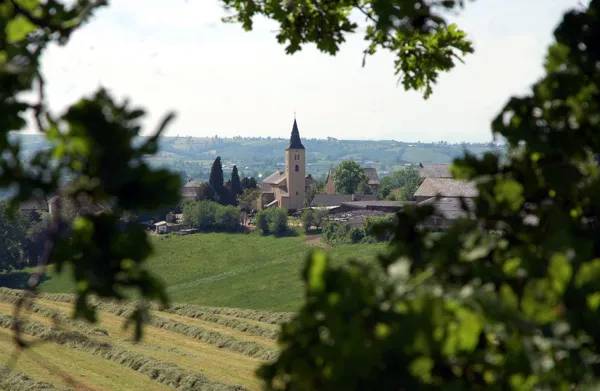 Randonnée : Randonnée "La vallée du Congorbes"