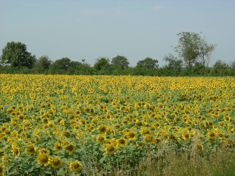 Randonnée : Les Penons d'Or