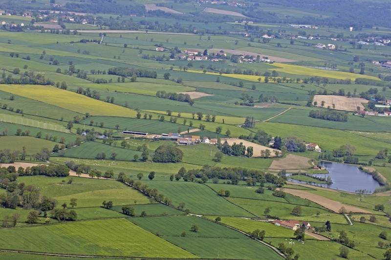 Illustration : Le sentier de la Brande de Landes