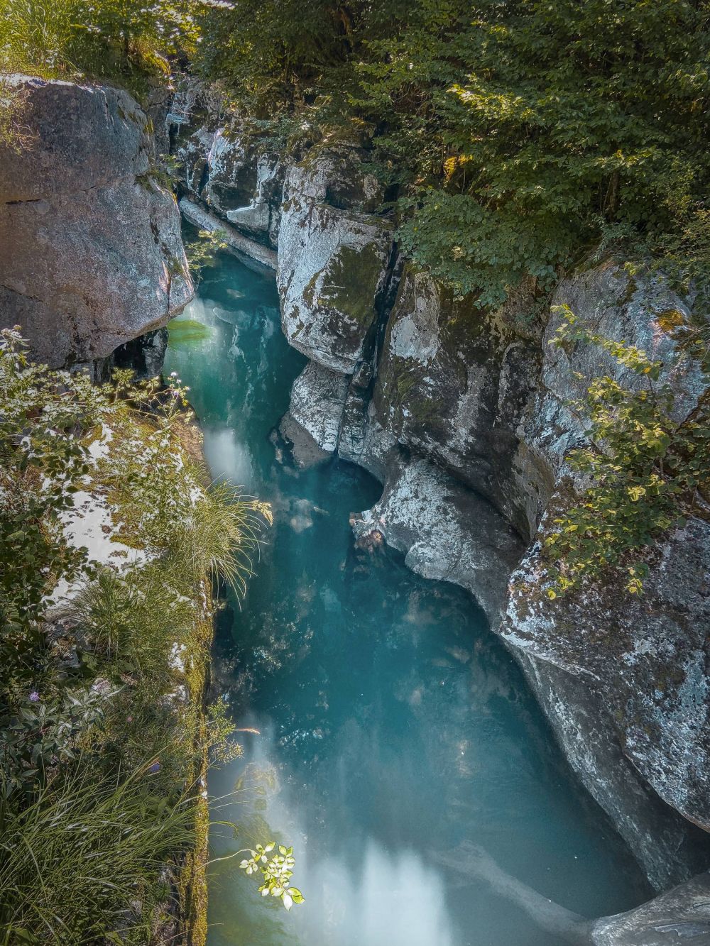 Les pertes de la Valserine