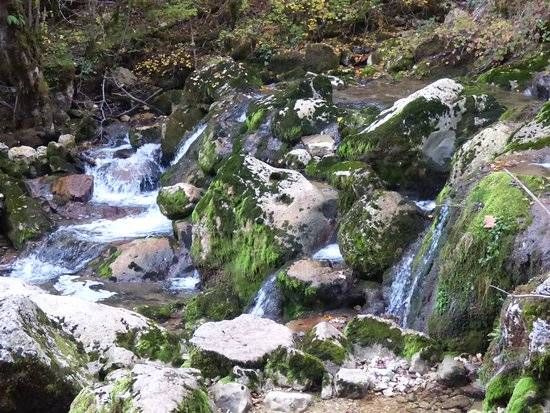 Lieu : Reculée et Cascade de La Frasnée