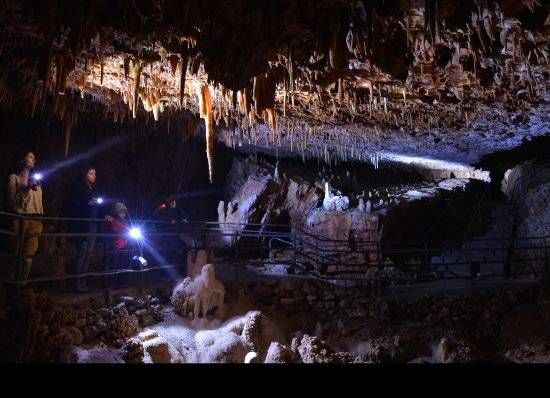 Aven Grotte Forestière