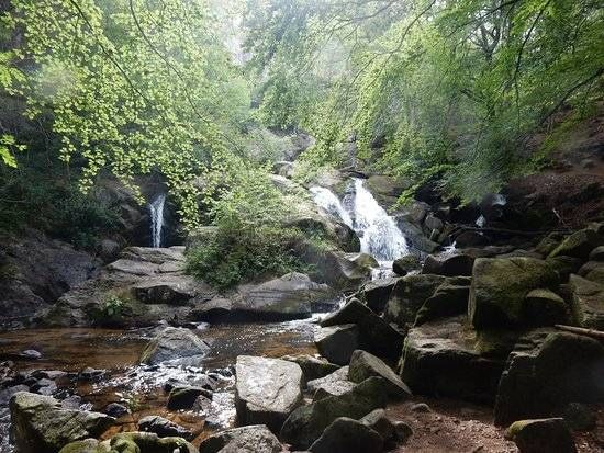 Lieu : Cascade de la Pisserotte