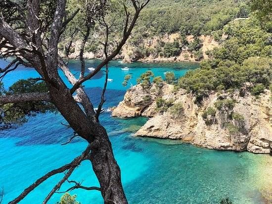 Lieu : Calanque de Port d'Alon