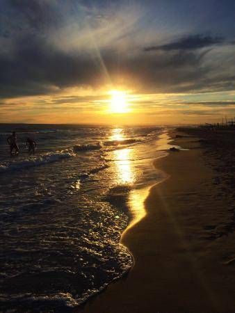 Lieu : Plage de l’Espiguette