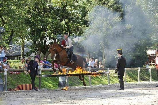 Lieu : Haras De La Vendée